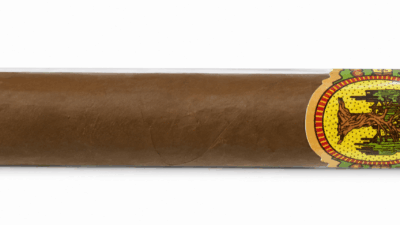 Smokers Abbey Willow